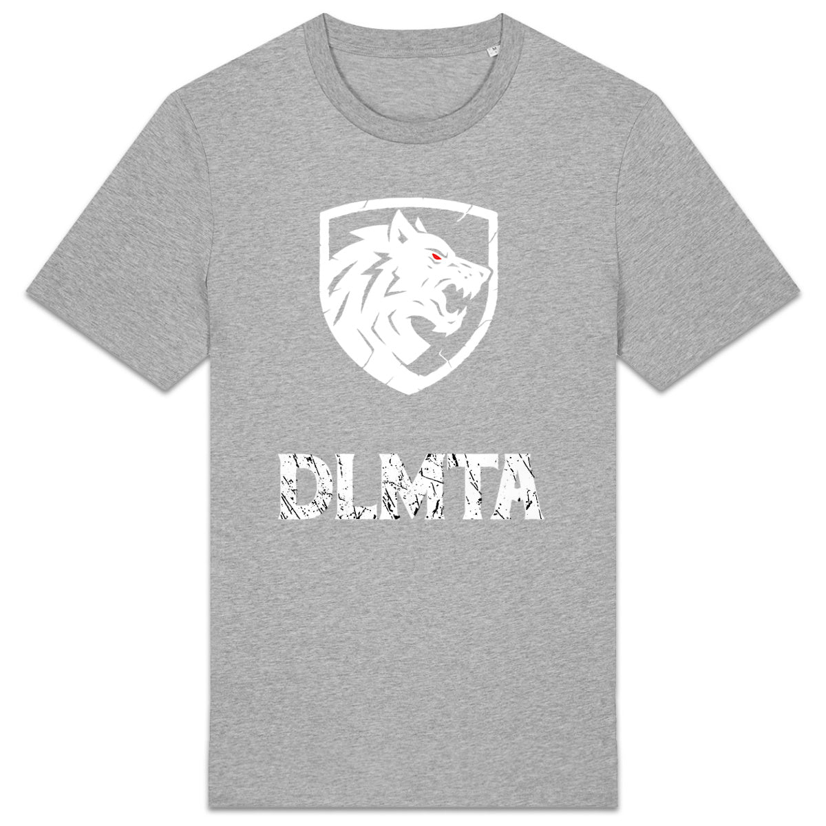 DLMTA White logo White Text