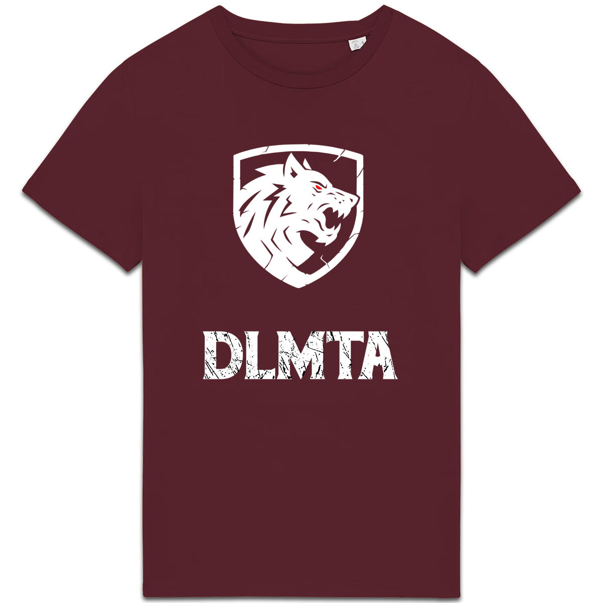 DLMTA White logo White Text