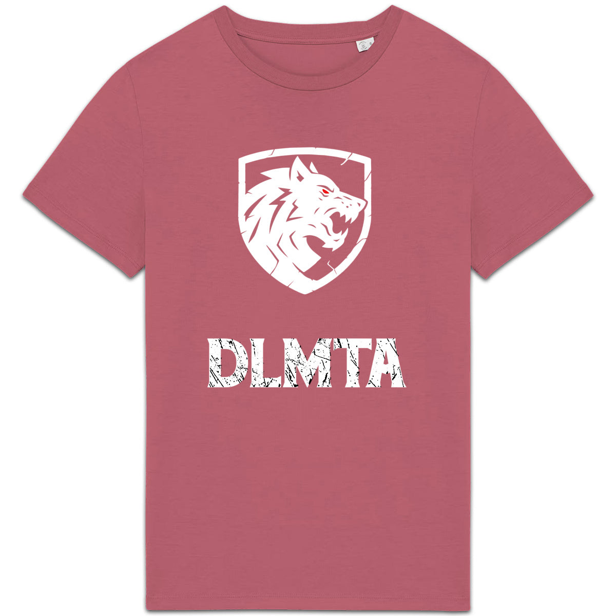 DLMTA White logo White Text